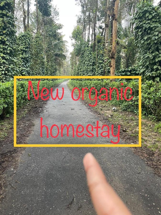 New Organic Home Stay Mudigere Εξωτερικό φωτογραφία
