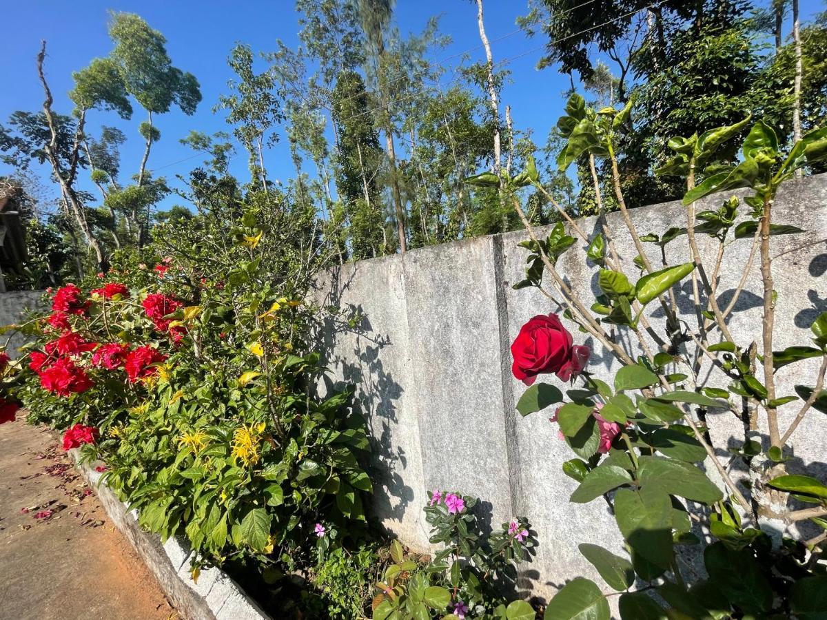 New Organic Home Stay Mudigere Εξωτερικό φωτογραφία