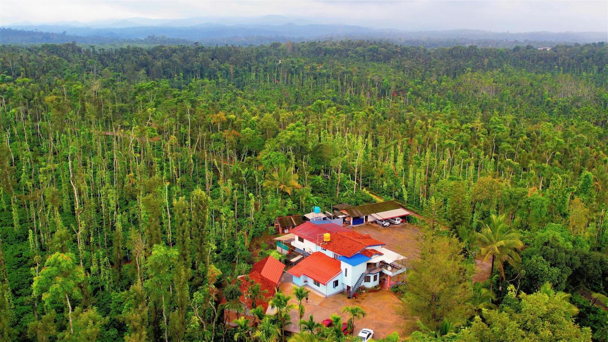 New Organic Home Stay Mudigere Εξωτερικό φωτογραφία